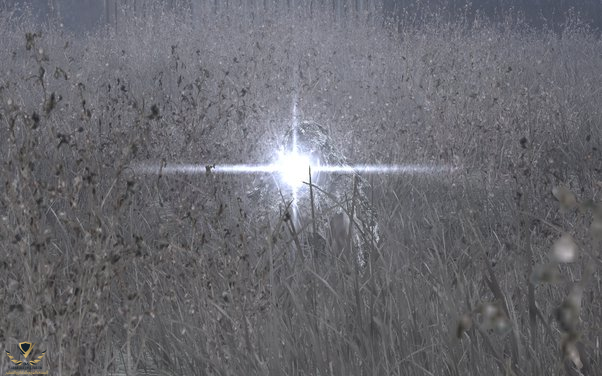 1706106673341.png