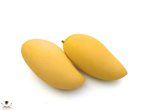 1706262679837.png
