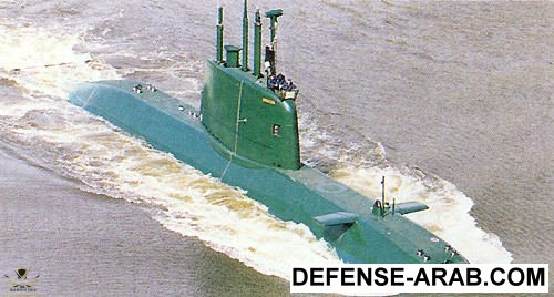 dolphin6.jpeg