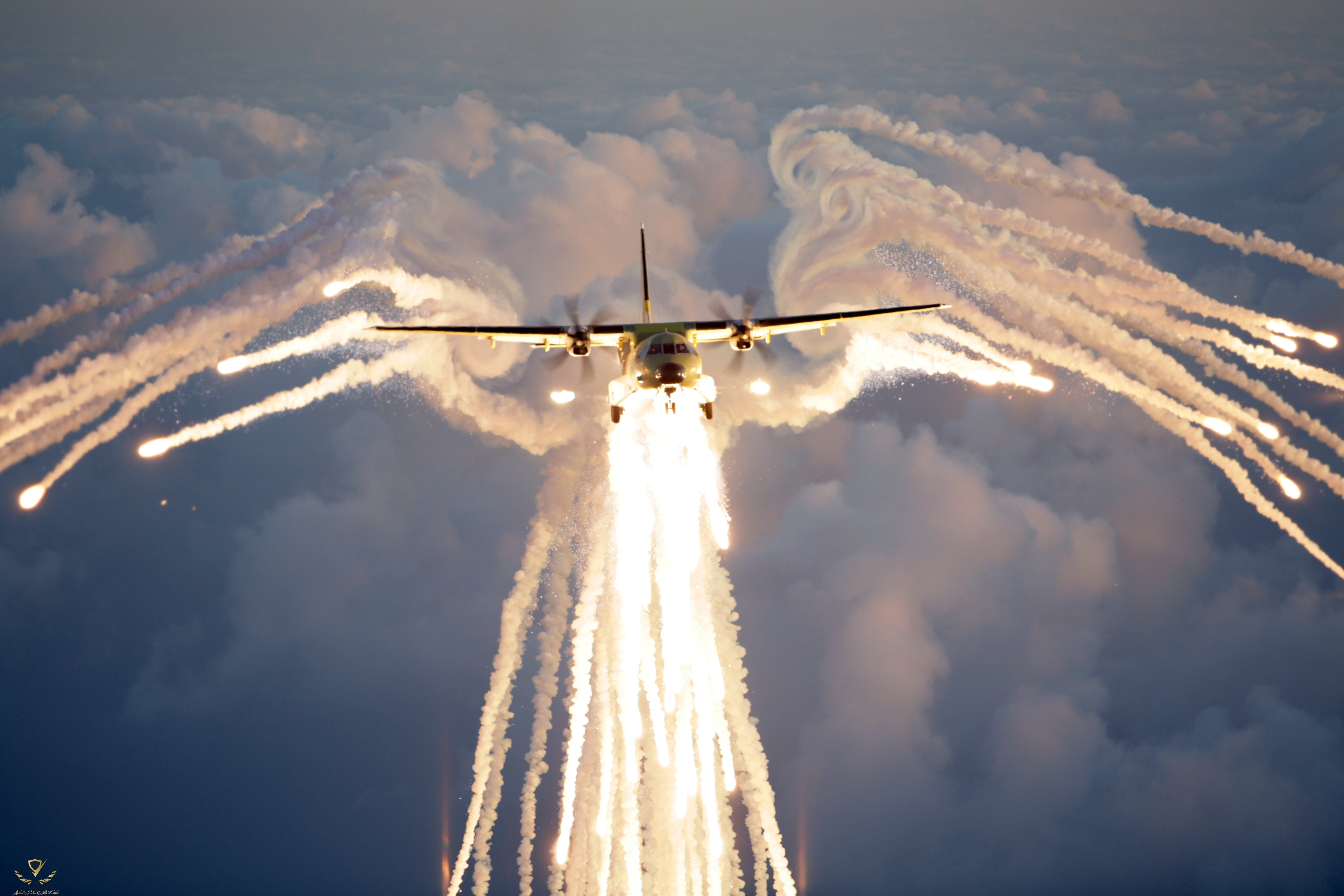 C295 Chaff and Flare_SP.jpg