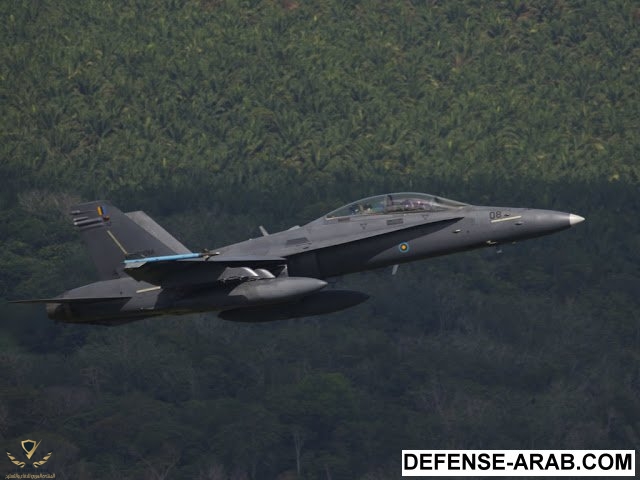 AIR_F-18D_Malaysian_Bersama_Shield_2010_lg (2).jpg