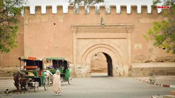 -تارودانت-1-76t3h2qm445fbuc5aboftgonp24ogo9gyjtjjgwu1jr.jpg