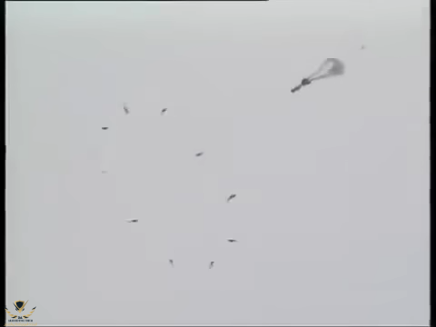 1711728904593.png