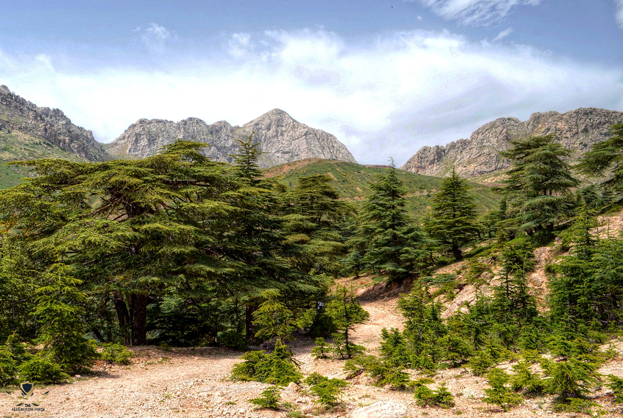 0-Parc-National-du-Djurdjura-a-Bouira.png