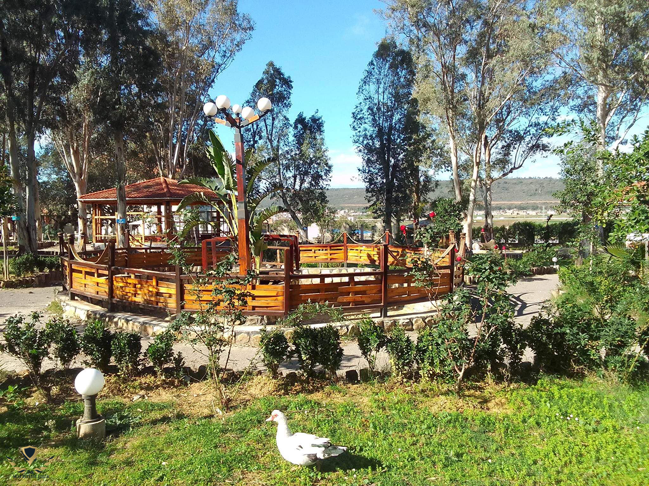 1-Foret-recreative-de-Wooden-Park-El-Tarf.png