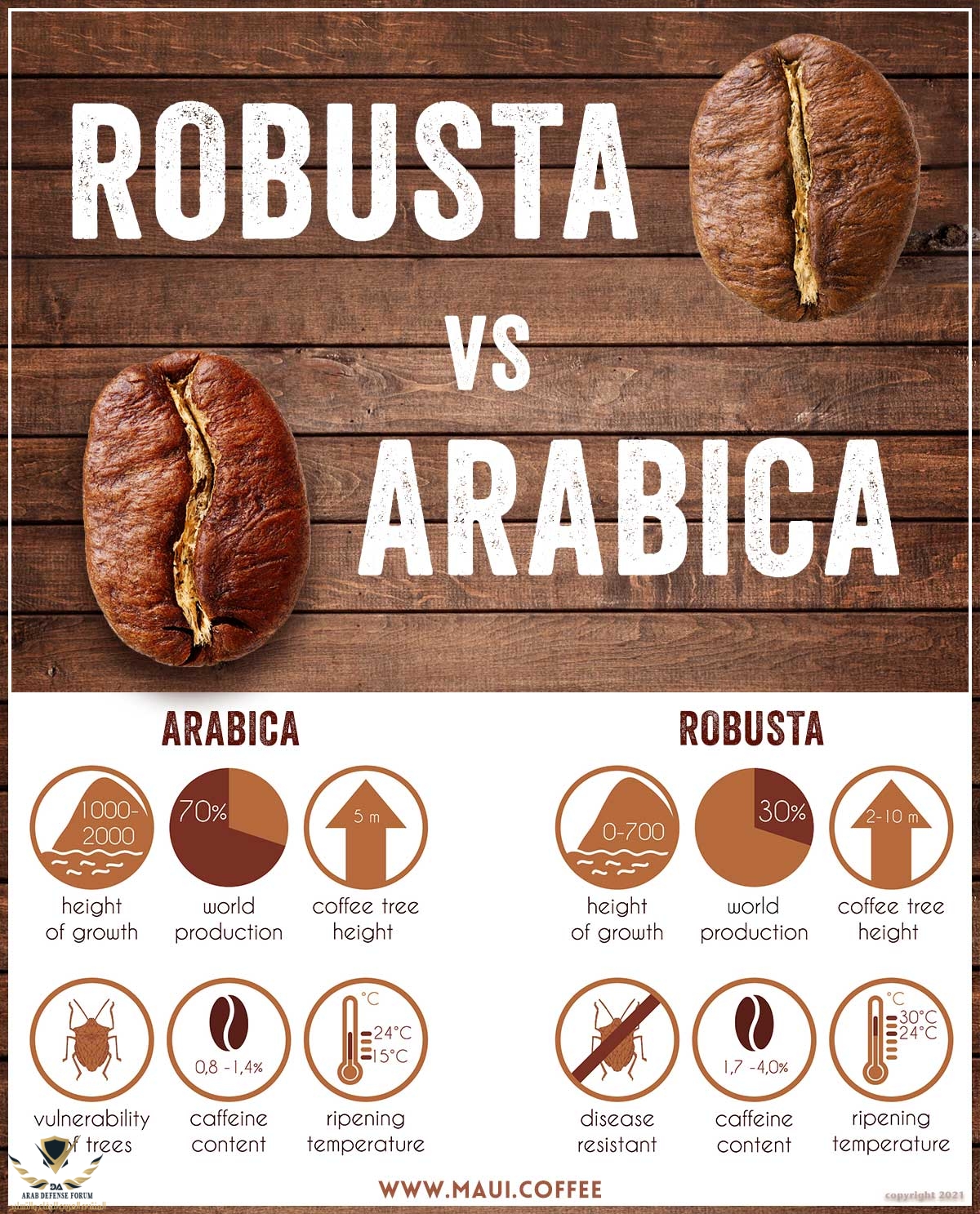 robusta-vs-arabica-coffee_2048x2048.jpg