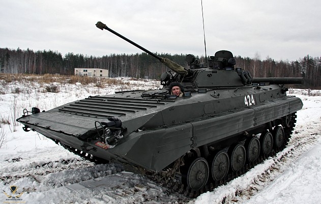 ve_micv_bmp-2_p05.jpg