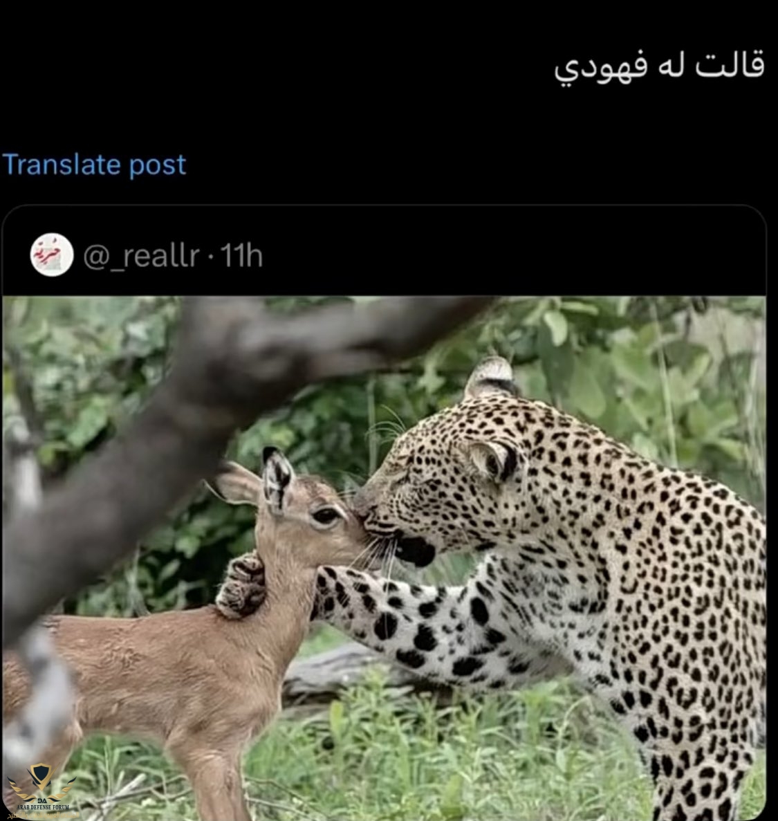 ٢٠٢٤٠٥١٢_٢١٠٤٠١.jpg