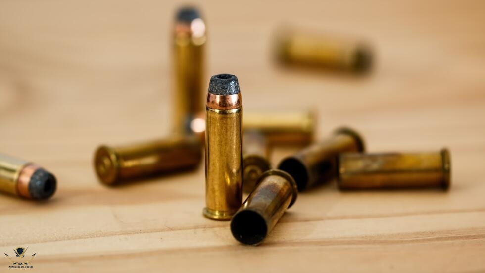 bullet-408636_1920.jpg