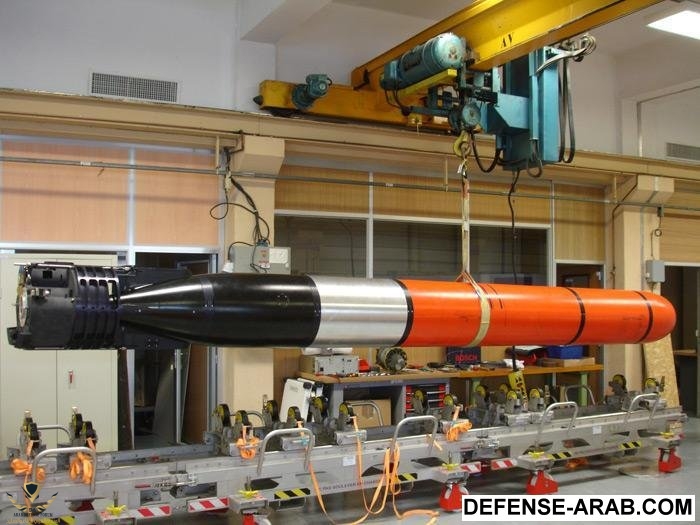 DCNS-picks-Saft-to-power-F21-torpedoes.jpg