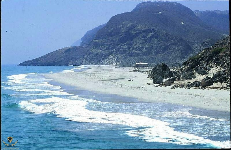 masirah-beach-camp.jpg