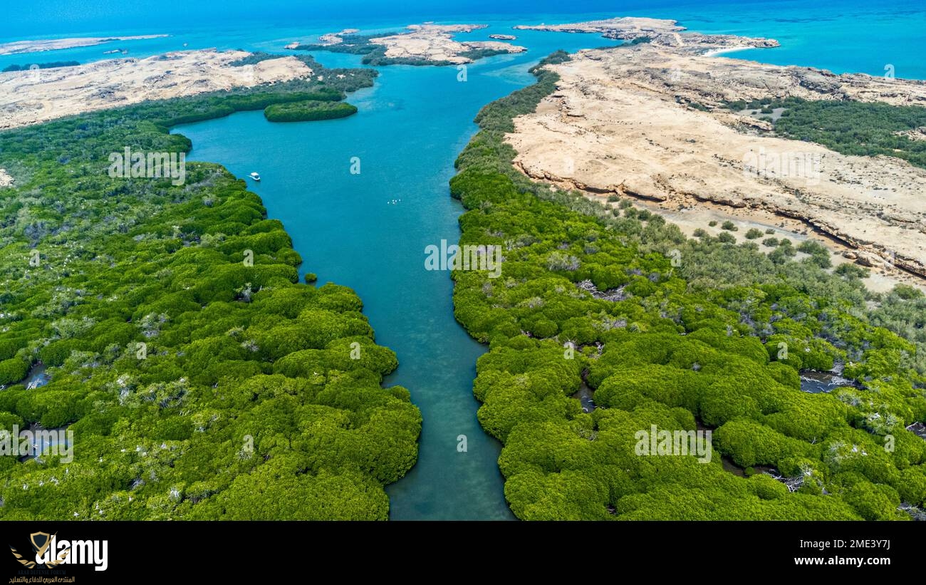 arabie-saoudite-province-de-jazan-vue-aerienne-de-la-mangrove-dans-l-archipel-des-iles-farasan...jpg