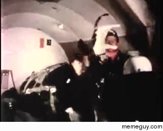 cats-trying-to-land-on-all-fours-in-zero-gravity-160182.gif