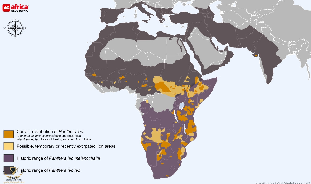 Panthera-leo-distribution-map.jpg