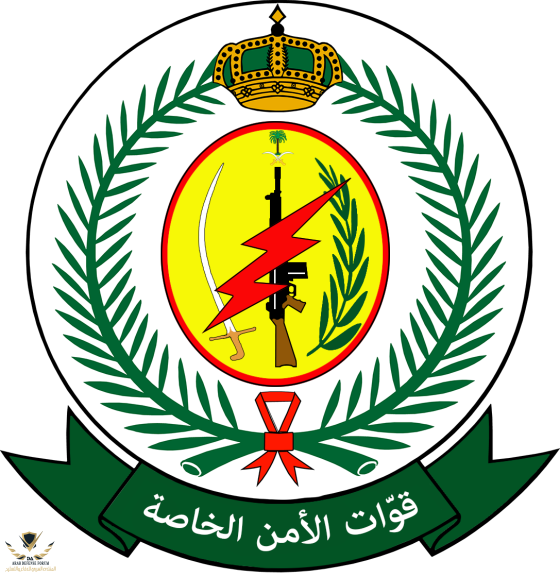 Special_Security_Forces_(Saudi_Arabia).svg.png