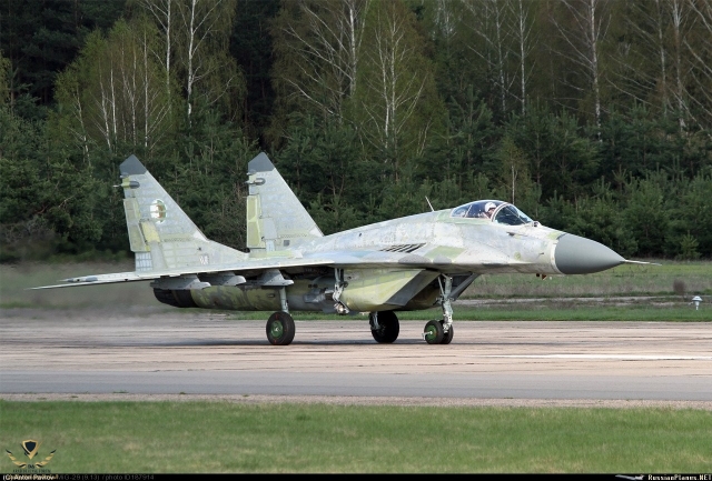 Algeria_MiG-29S_Anton_Pavlov_640.jpg