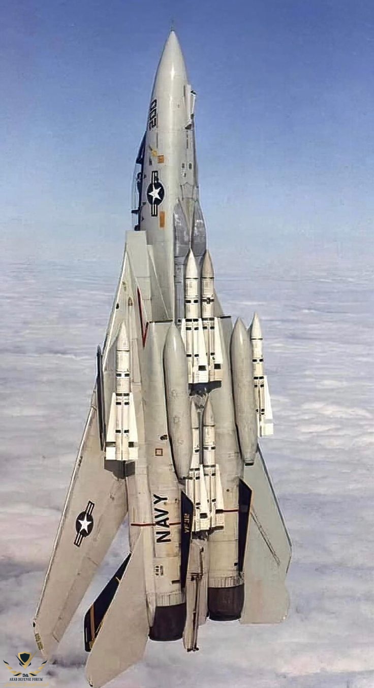 A Full Six Pack! Swordsmen F-14 Tomcat.jpeg