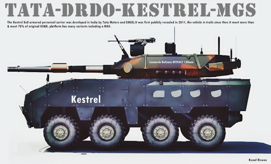 kestrel-line3.gif