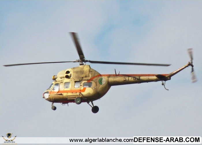 Mil-Mi-2.jpg