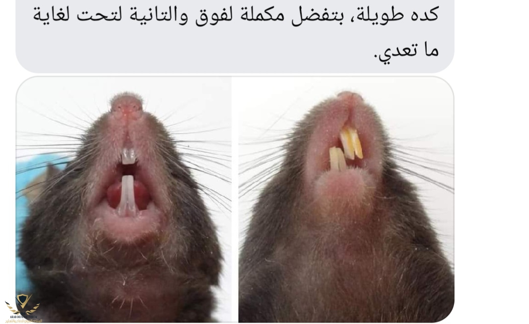 Screenshot_٢٠٢٤١٠١٢_٠٩٠٥٢٠_Facebook.jpg