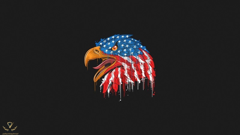 147332-animals-eagle-birds-American-flag-artwork-minimalism-freedom.jpg