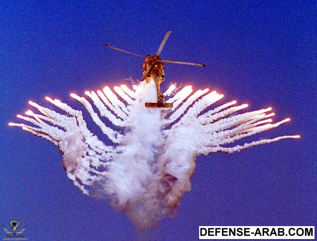 seahawk2.jpg