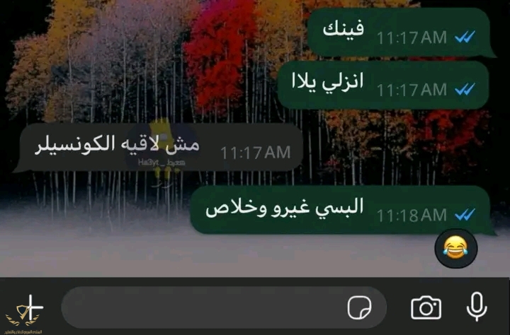 1746018329806.jpg