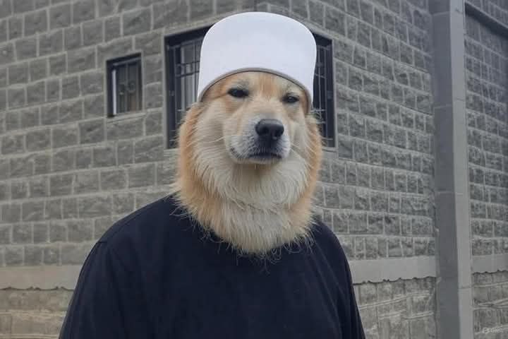 1746106938101.jpeg