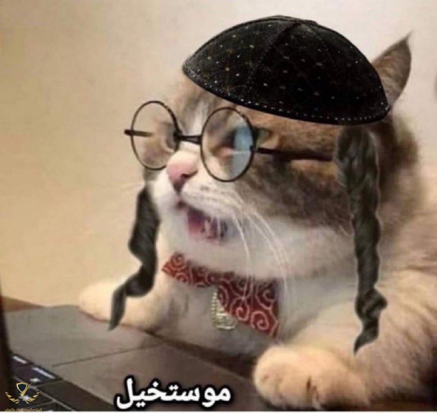 F9ZWi_jXwAAkeTo.jpg