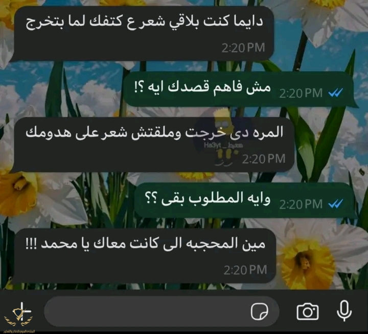 1746224224352.jpg