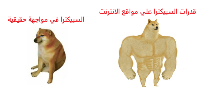 1746628994044.png