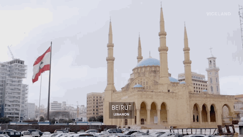 giphy (5).gif