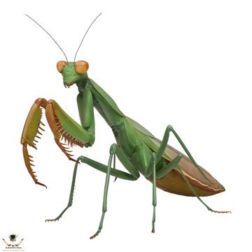 1746980562037.png