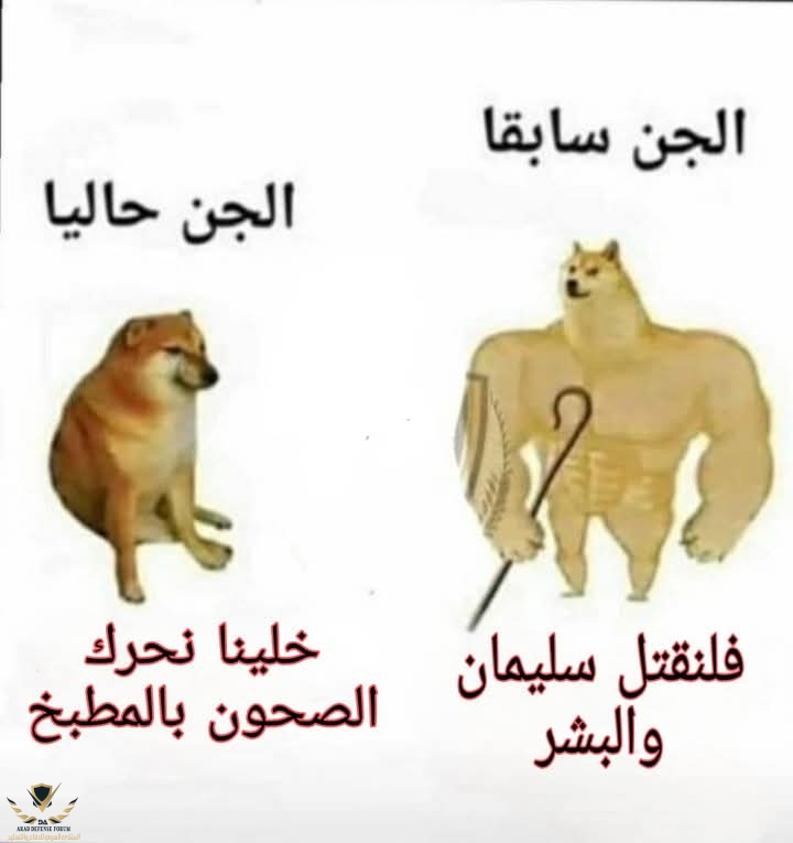 IMG_1001.jpeg