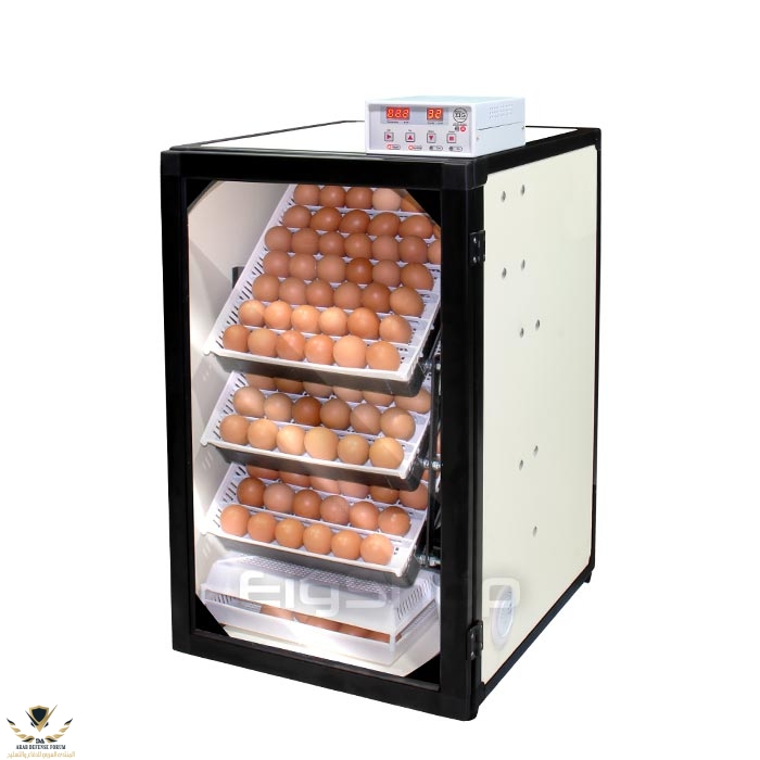 168-egg-small-industrial-incubator-new.jpg