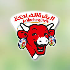 1747097641267.png