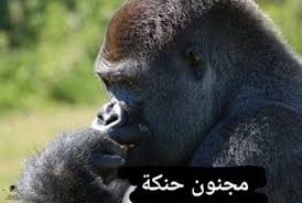 IMG_2624.jpeg