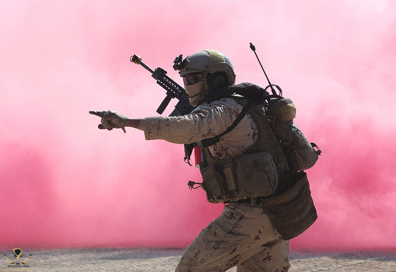 ejercito-emiratos (3).jpg