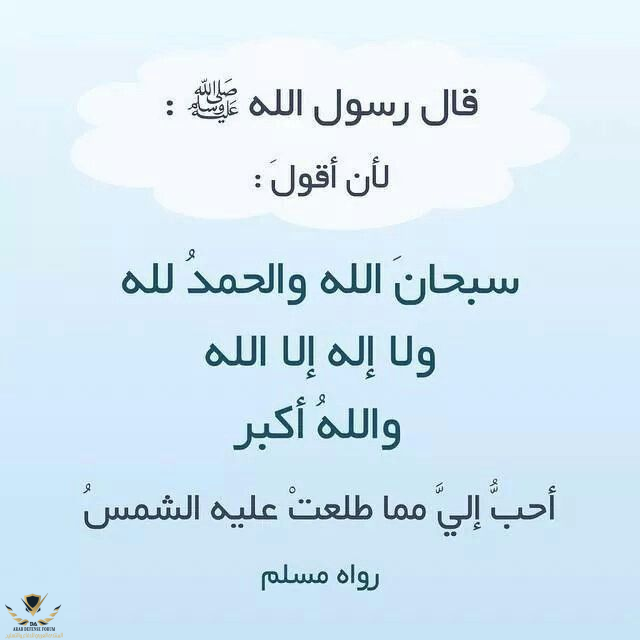 1748004028292.png