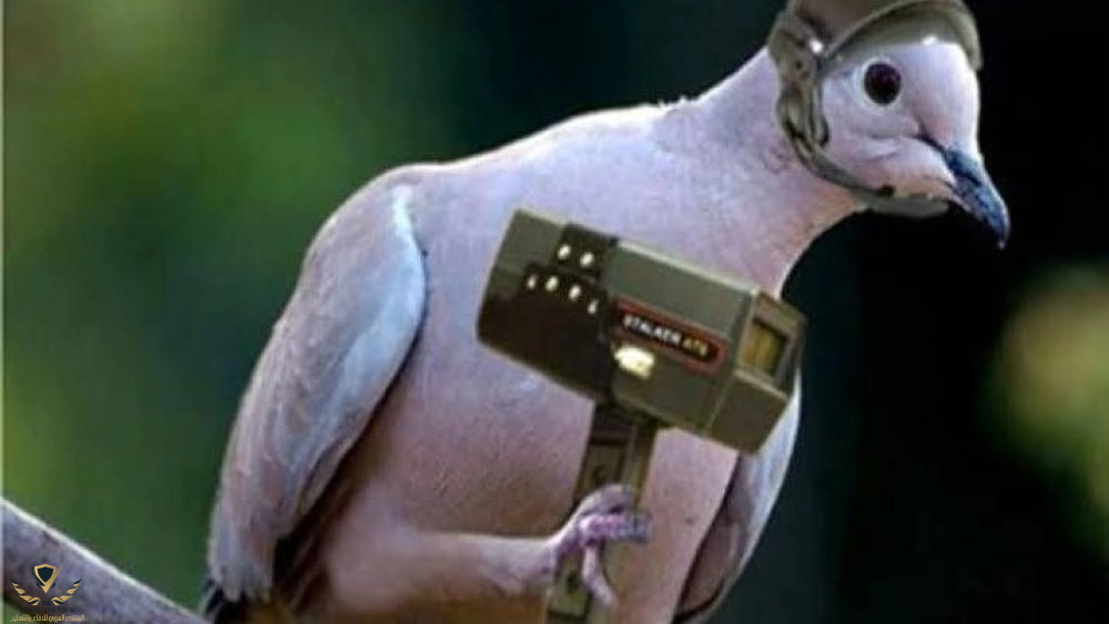1748202112176.png