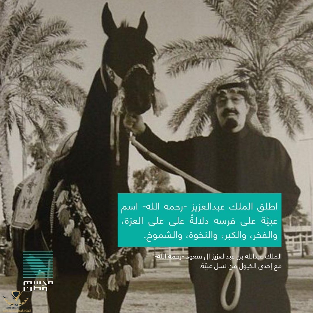  .. تاريخ وقصة فخرخيل عربيّة أصيلة شاهدة على تاريخ الملك عبدالعزيز في توحيد المملكة وفتح نَجد ...jpg