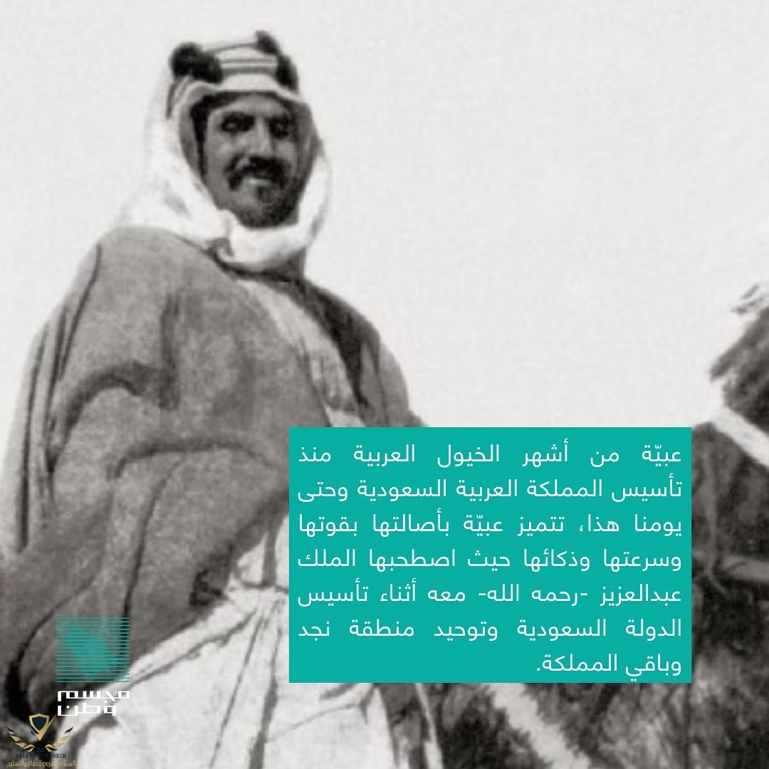  .. تاريخ وقصة فخرخيل عربيّة أصيلة شاهدة على تاريخ الملك عبدالعزيز في توحيد المملكة وفتح نَجد ...jpg