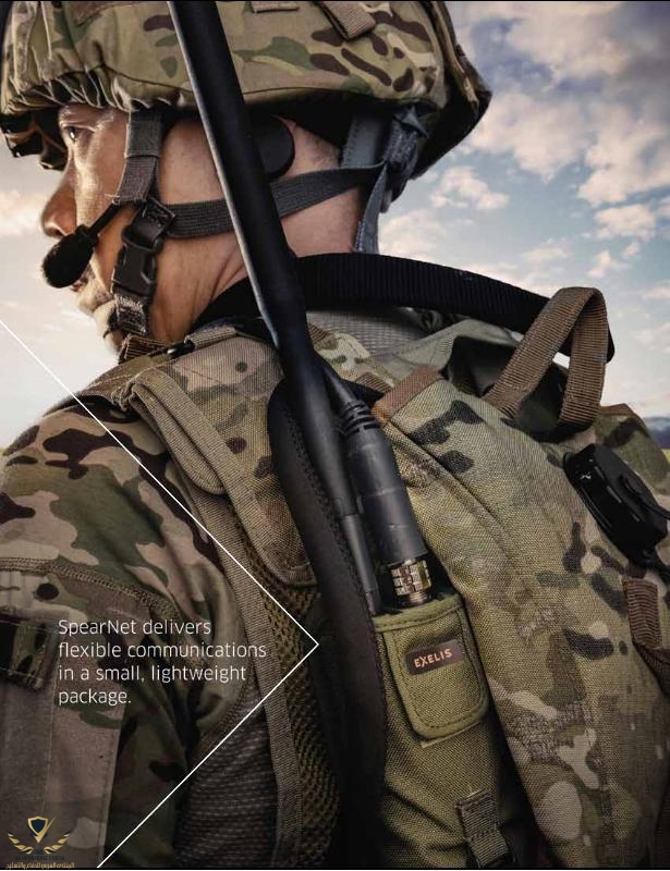 spearn10 (2).jpg