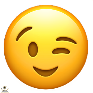 1748485281957.png