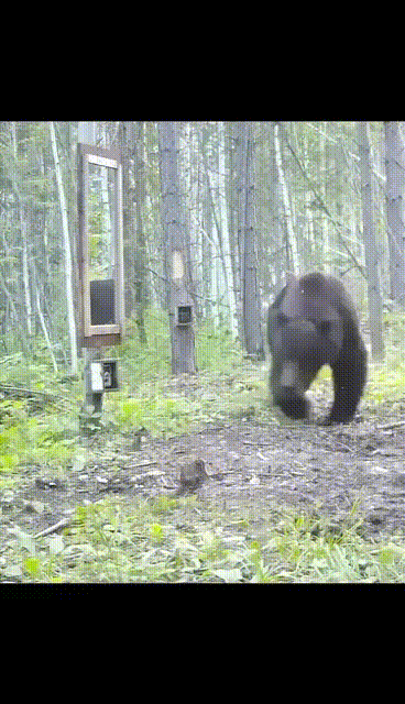 d2bb7191f6644d50a9eff448010ee30c.gif
