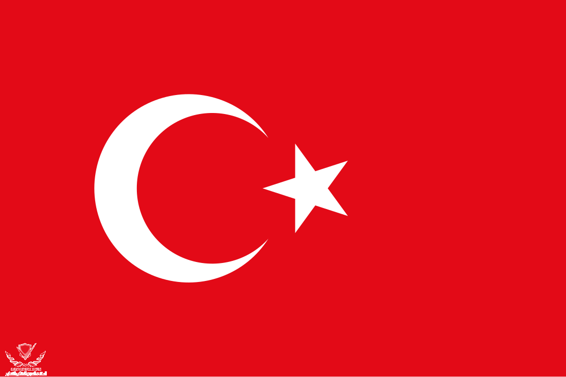 Flag_of_Turkey.svg.png