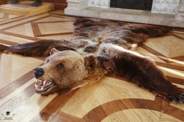 scarecrow-killed-a-bear-on-the-floor.jpg