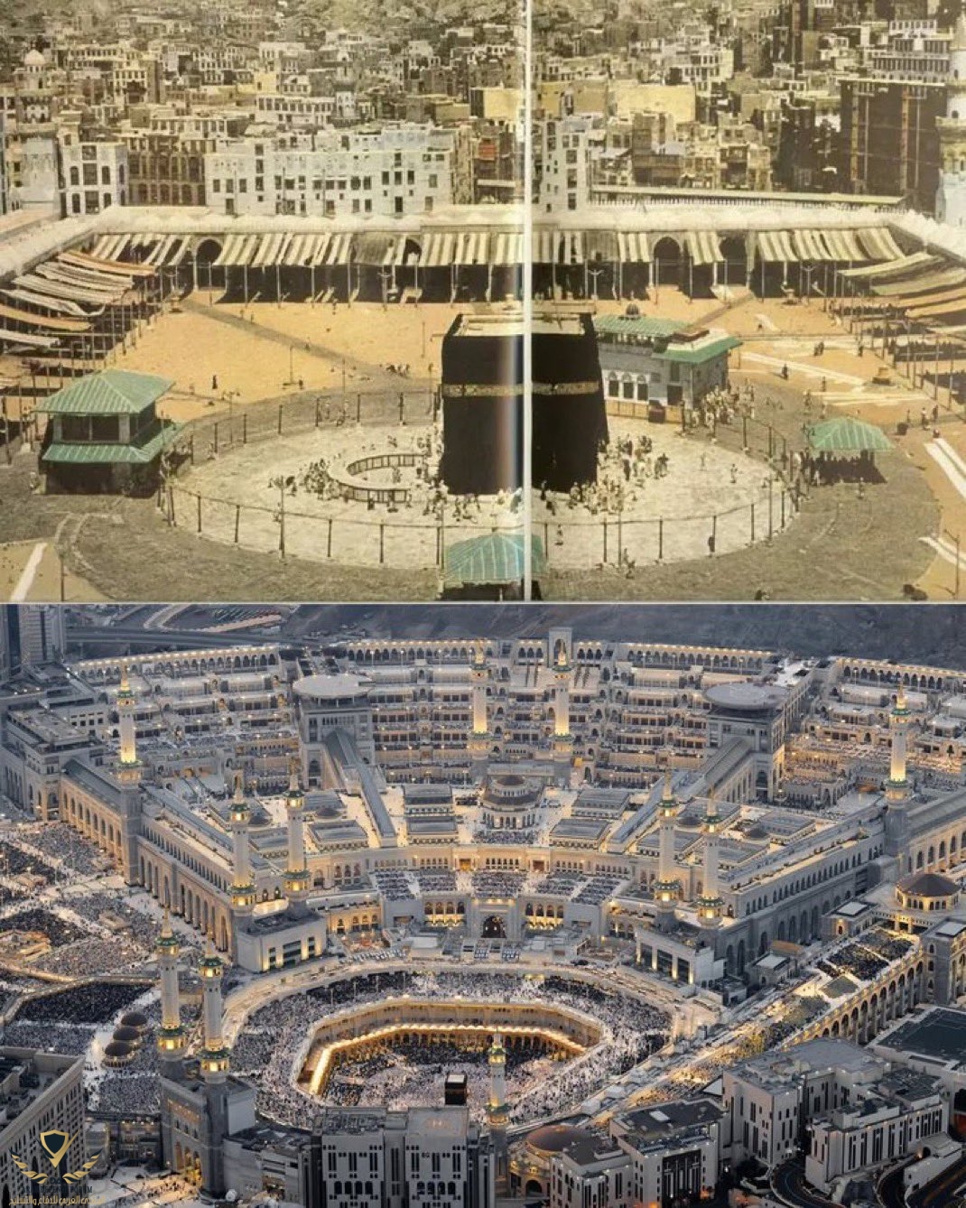 ٢٠٢٥٠٦٠٦_٠١٤٦١٣.jpg