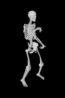 IMG_6560.gif