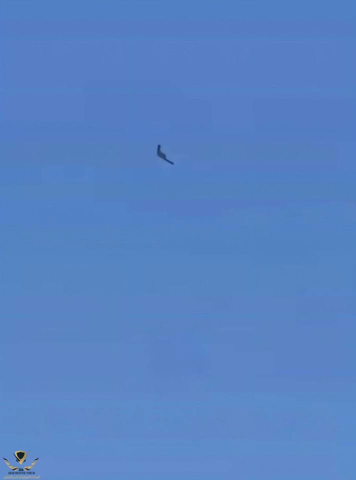 IMG_0854.jpeg